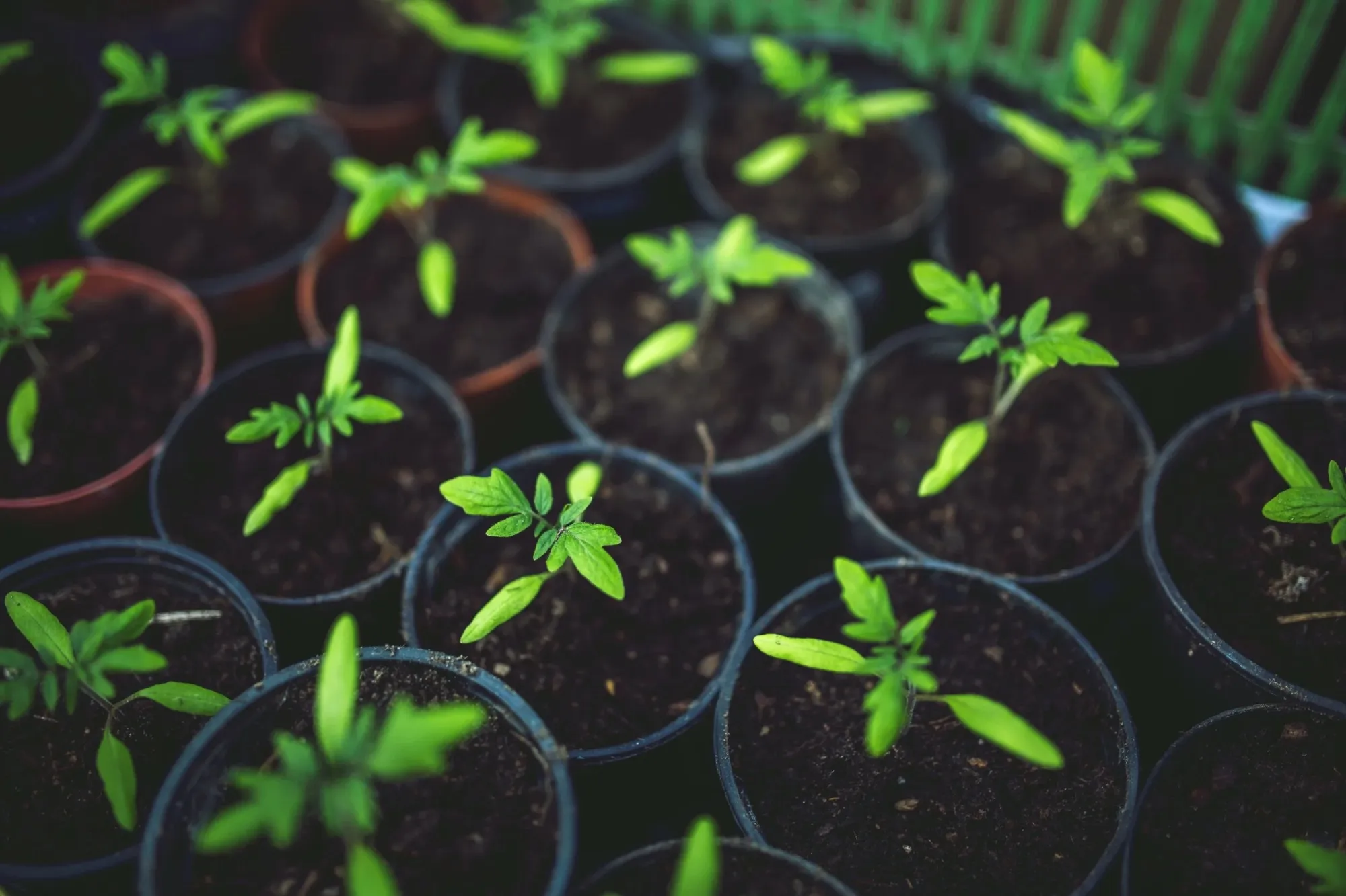 Farm Compliance