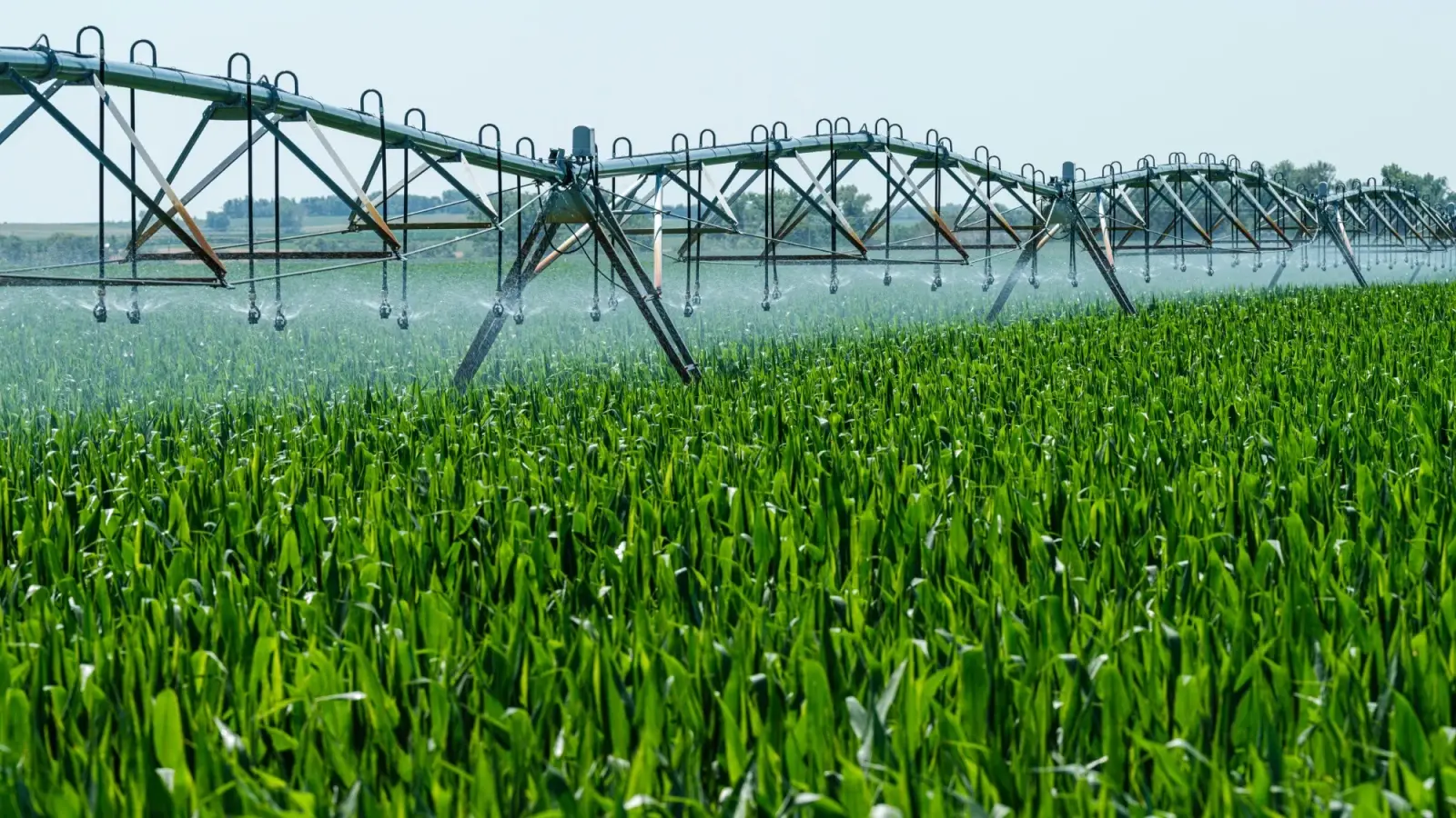 Water Planning